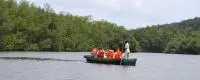 mangrove malanza